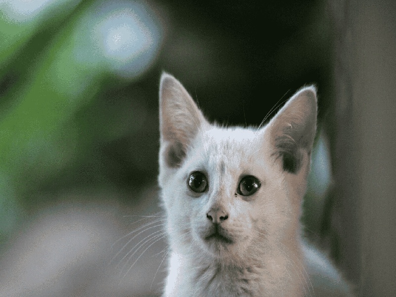 昆明试管专找安琪儿台湾试管医院环境asbeauty试管面膜价格